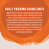 Natural Balance Original Ultra Platefulls Wet Cat Food, Turkey, Chicken, & Duck Morsels in Gravy Recipe