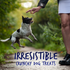 Fruitables Skinny Mini Pumpkin & Blueberry Dog Treats