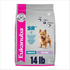 Eukanuba Small Breed Senior Chicken Formula Dry Dog Food