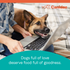 Canidae Pure Farm To Bowl Cage-Free Duck & Sweet Potato Recipe Dog Food