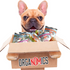 Organomics Lamb & Beef Dinner for Dogs
