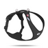 Curli Magnetic Belka Comfort Harness Black