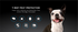 Nextstar Flea & Tick for Small Dogs