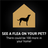 Nextstar Flea & Tick for Medium Dogs