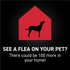 Nextstar Flea & Tick for X- Large Dogs