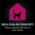 Nextstar Flea & Tick Spot on for Cats