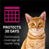 Nextstar Flea & Tick Spot on for Cats