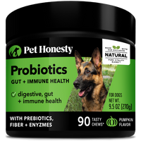 Pet Honesty Dog Digestive Probiotic Gut Health Soft Chews, Pumpkin