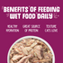 Weruva Mideast Feast With Grilled Tilapia Canned Cat Food