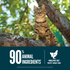Orijen Guardian 8 Recipe Adult Cat Food