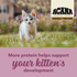 Acana Highest Protein Dry Food for Kittens
