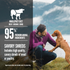 Orijen Beef Recipe Stew with Shredded Beef and Eggs Grain Free Dog Food