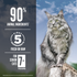 ORIJEN Dry Senior Cat Food Grain Free Premium High Protein Fresh & Raw Animal Ingredient Guardian Senior