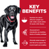 Hill's Science Diet Adult Perfect Weight & Joint Support LG Breed Dry Dog Food Chicken Recipe