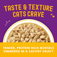 Stella & Chewy's Carnivore Cravings Morsels N Gravy Chicken & Chicken Liver Recipe Pouch Cat Food