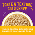 Stella & Chewy's Carnivore Cravings Morsels N Gravy Chicken & Chicken Liver Recipe Pouch Cat Food