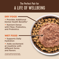 Wellness CORE  Healthy Weight Grain Free Adult Dry Cat Food Chicken & Chicken Meal Recipe
