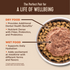 Wellness CORE  Healthy Weight Grain Free Adult Dry Cat Food Chicken & Chicken Meal Recipe