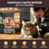 Wellness CORE  Healthy Weight Grain Free Adult Dry Cat Food Chicken & Chicken Meal Recipe