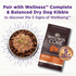 Wellness Bowl Boosters Hearty Toppers Beef & Green Beans Recipe in Savory Bone Broth Dog Food Toppers