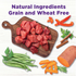 Wellness Bowl Boosters Hearty Toppers Beef & Green Beans Recipe in Savory Bone Broth Dog Food Toppers