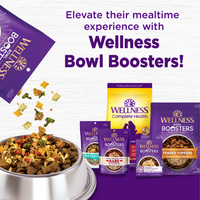 Wellness Complete Health Adult Beef & Barley Recipe