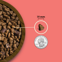 Acana Butchers Favorites Farm-Raised Beef and Liver Recipe Dry Dog Food