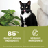 Acana Beef, Chicken + Tuna Recipe in Bone Broth Wet Cat Food