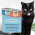 Acana  Premium Pate Variety Pack Wet Cat Food