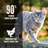 Orijen Original Cat Grain Free Dry Cat Food