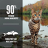 Orijen Grain Free Six Fish Dry Cat Food