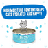 Weruva BFF Oh My Gravy Love Munchkin Grain Free Chicken & Pumpkin in Gravy Canned Cat Food