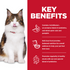 Hill's Science Diet Adult Perfect Digestion Chicken, Barley, & Whole Oats Recipe Dry Cat Food