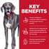 Hill's Science Diet Adult Perfect Digestion Large Breed Chicken, Brown Rice & Whole Oats Recipe Dry Dog Food,