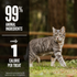 Orijen Freeze Dried Regional Red Cat Treats
