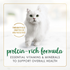 Fancy Feast Chunky Chicken Wet Cat Food