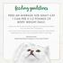 Fancy Feast Chunky Chicken Wet Cat Food