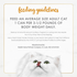 Purina Fancy Feast Classic Pate Liver and Chicken Wet Cat Food