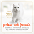 Purina Fancy Feast Classic Pate Savory Salmon Wet Cat Food