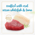 Fancy Feast Classic Pate Ocean Whitefish and Tuna Loaf Wet Cat Food