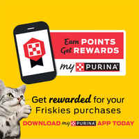 Purina Friskies Cat Food Surfin and Turfin Favorites Flavors of Chicken, Whitefish, Salmon and Filet Mignon Dry Cat Food