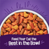 Purina Friskies Cat Food Surfin and Turfin Favorites Dry Cat Food