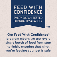 Natural Balance Limited Ingredient Grain Free Dry Cat Food, Salmon & Green Pea Recipe