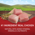 Purina ONE Chicken and Rice Formula Dry Dog Food