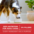 Purina One Chicken and Rice Dry Dog Food
