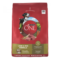 One Lamb and Rice Dry Dog Food