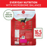 One Lamb and Rice Dry Dog Food