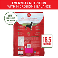 Purina One Lamb and Rice Dry Dog Food