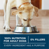 Purina One Large Breed Dry Dog Food