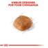 Royal Canin Breed Health Nutrition Chihuahua Adult Dry Dog Food